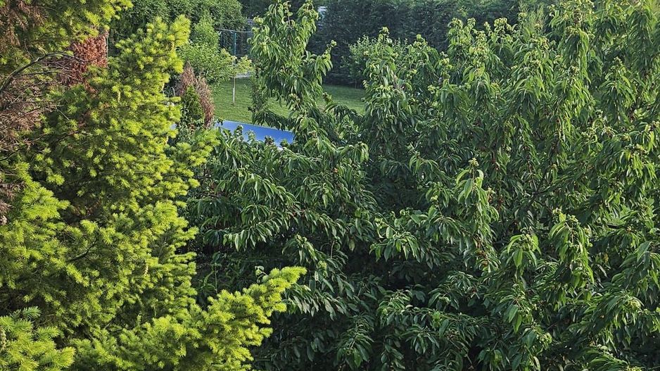 Vila 8 camere Dascalu - Poză 23