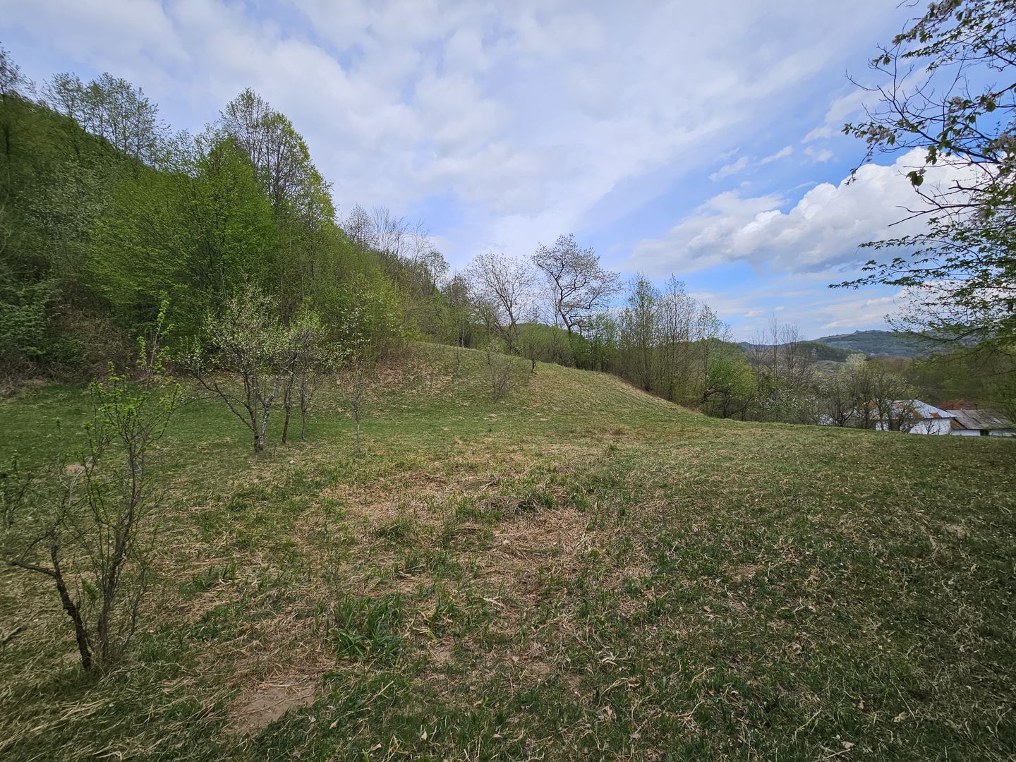 Teren intravilan 1454 mp la marginea padurii zona locuita de case! - Poză 7