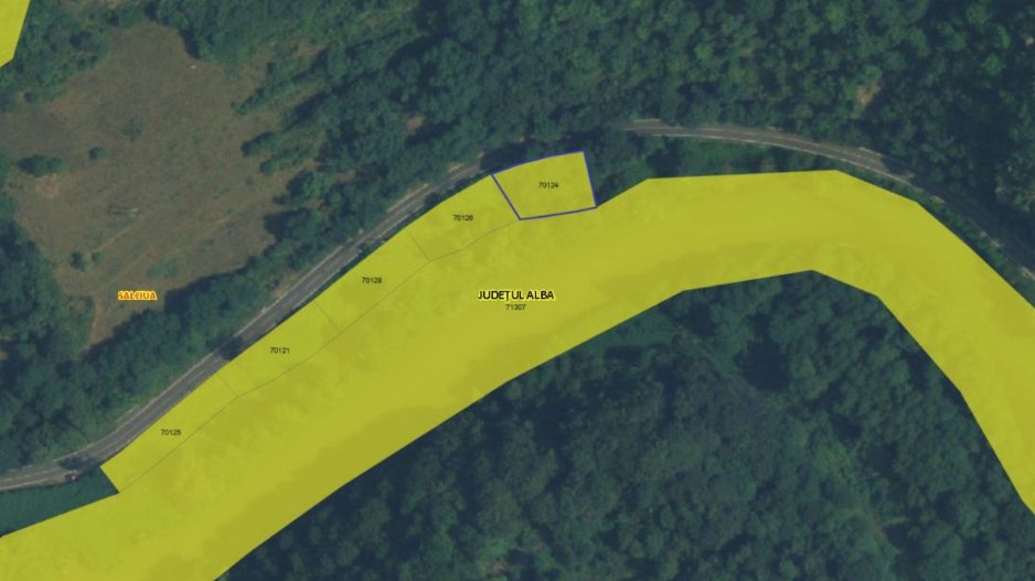 Oportunitate de Investiție Unică: 5 Terenuri de 1000 mp fiecare - Poză 1