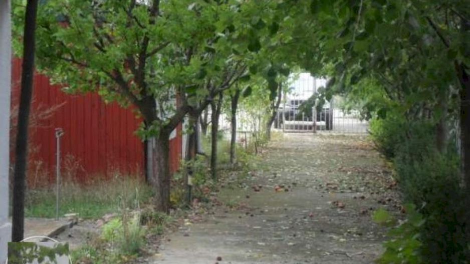 Teren la 35 km de Bucuresti - Izvorani - Ciolpani - Poză 15