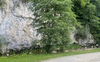 Teren Investiție Turistică Dâmbovicioara Baranga | 4.500 mp - Poză 15