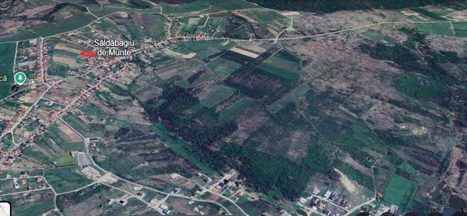 Teren intravilan Saldabagiu de Munte 1100m - Poză 3