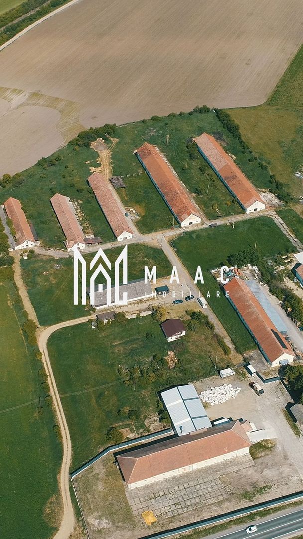Hale disponibile 1400 mp I Teren 6000 mp I Utilități I Apoldu - Poză 3