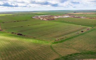 Teren de 49000 mp în Arad - Poză 2