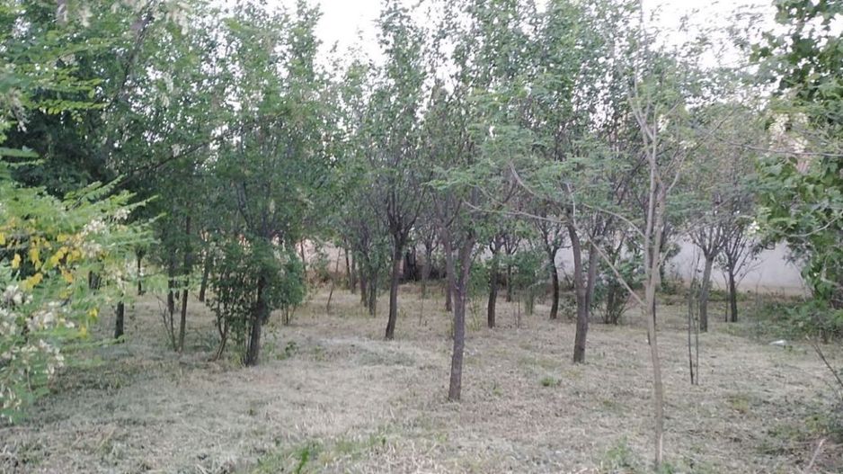 Ocazie unica 2case +1 loc casa/teren - Poză 4