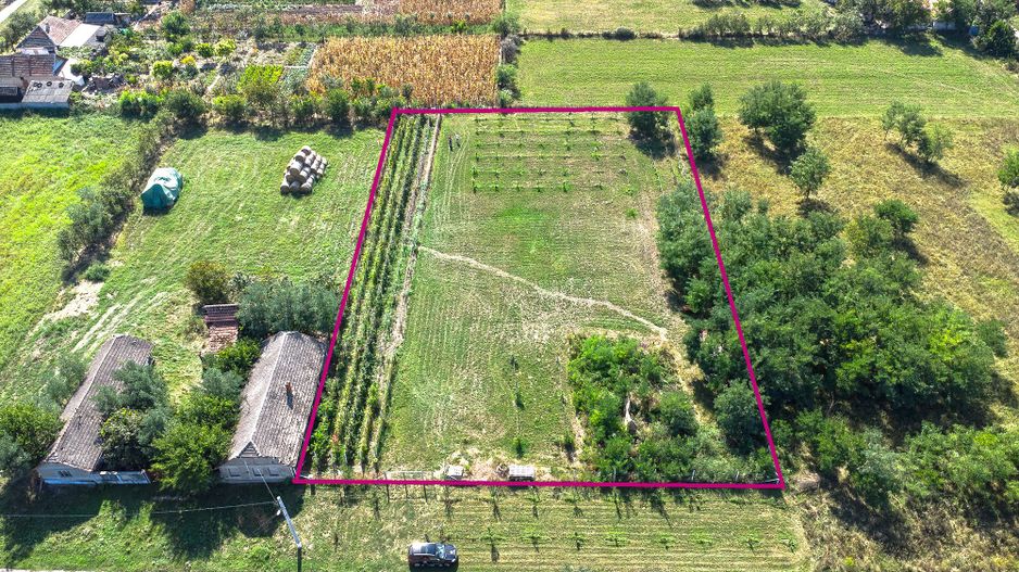 Pret redus Teren generos, intravilan in Șimand - Poză 2