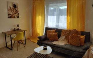 Apartament cu 2 camere de închiriat, zona Medicina/Take Ionescu - Poză 8