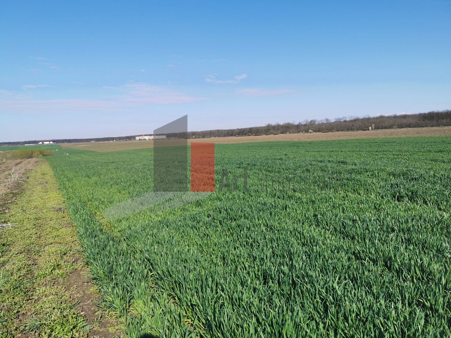 10 000 mp SNagov, langa Autostrada si Padure - Poză 2