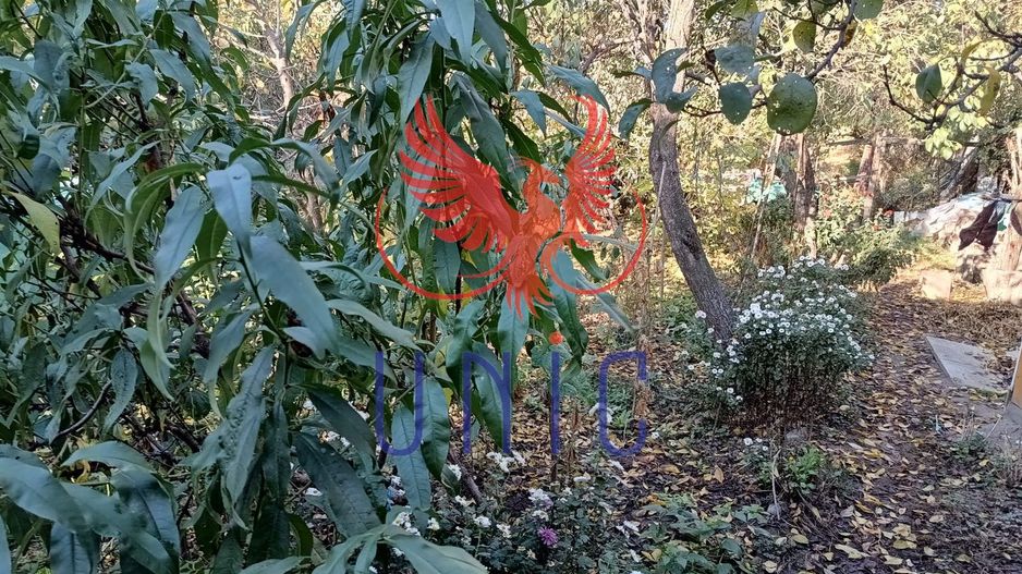 Teren Drumul Muntenilor, 980 mp, 2 deschideri - Poză 4