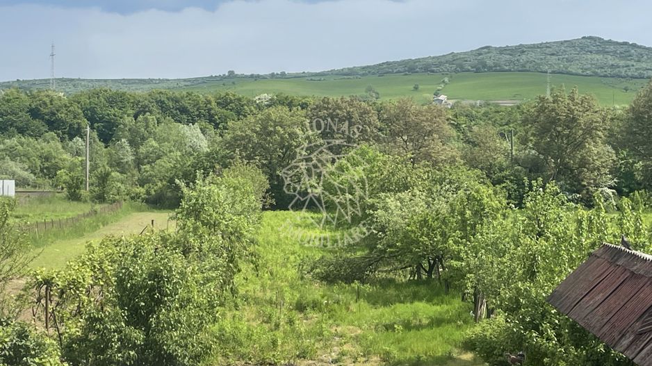 Casa 354 mp utili-teren 2200 mp-ideal business-anexa-Viisoara - Poză 6