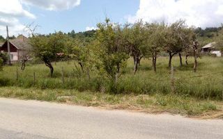 Teren intravilan si livada Draghici - Poză 3