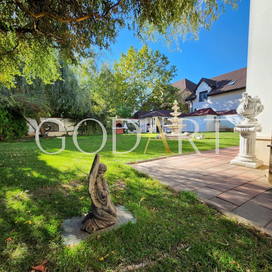 Resedinta exclusivista | Curte generoasa | Erou Iancu Nicolae - Poză 4