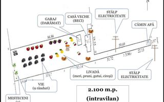 Teren (pt casa) intravilan - vie, livada, utilități - Poză 1