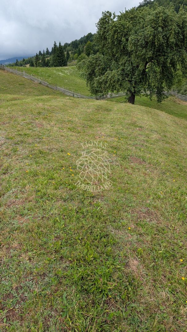 Parcele teren cu Panorama la Lac Colibita-ideal Cabana COMISION 0% ! - Poză 6
