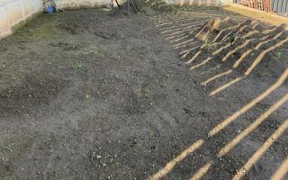 Casa cuplata, 115 mp, teren 495 mp, garaj, Dezmir - Poză 8