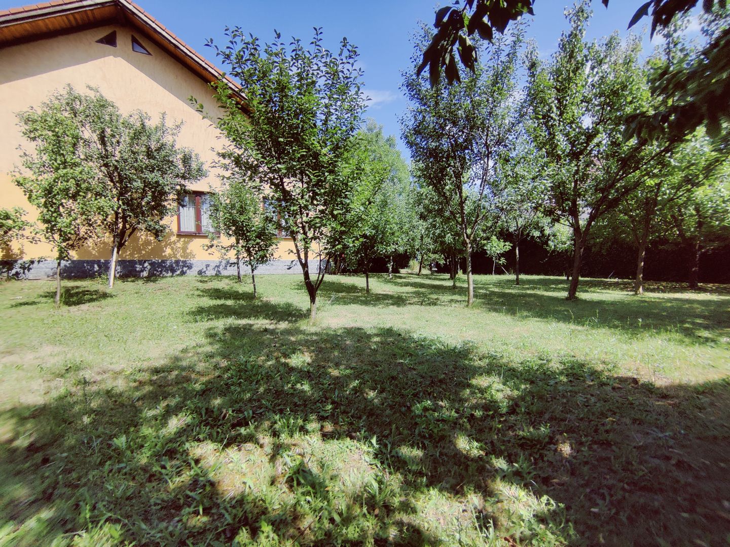 CASA INDIVIDUALA GHIRODA +TEREN 1752 MP - Poză 45