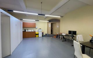 Spatiu bussines de 490mp intr-o vila pe 4 niveluri - Timisoara - Poză 28