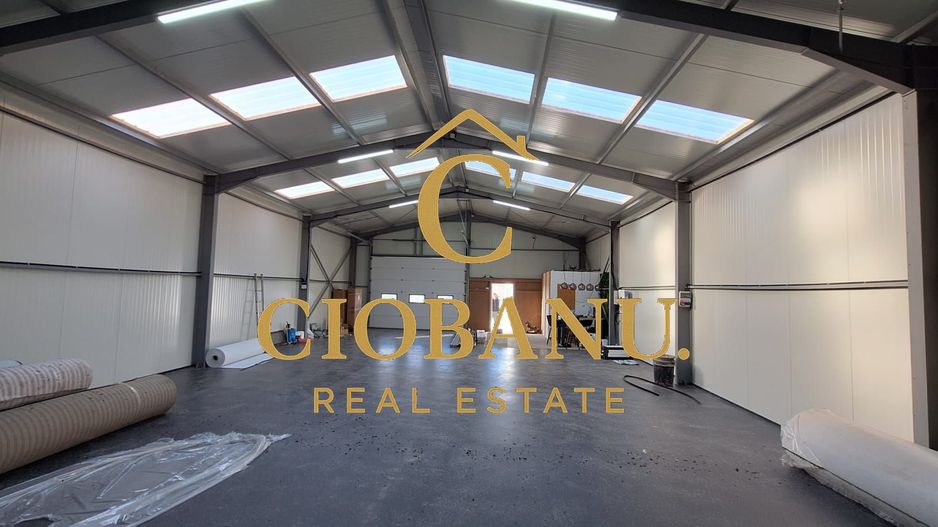 Hala de vanzare in Racarii de Jos - Poză 12