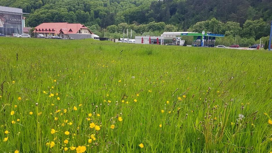 In evantaiul padurii, 750mp teren - Poză 5