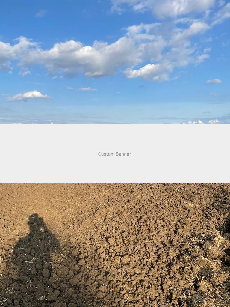 Teren intravilan Sanmartin P+4 curent apa - Poză 1