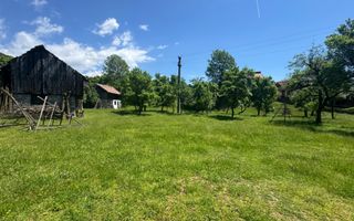 TEREN INTRAVILAN 3477 MP STOENEȘTI BĂDENI ARGEȘ - Poză 9