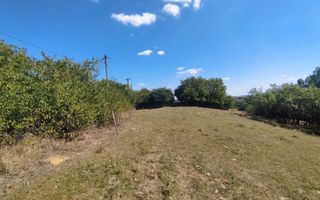 Teren intravilan | Mănăstioara – Siret | 2.200 mp - Poză 3