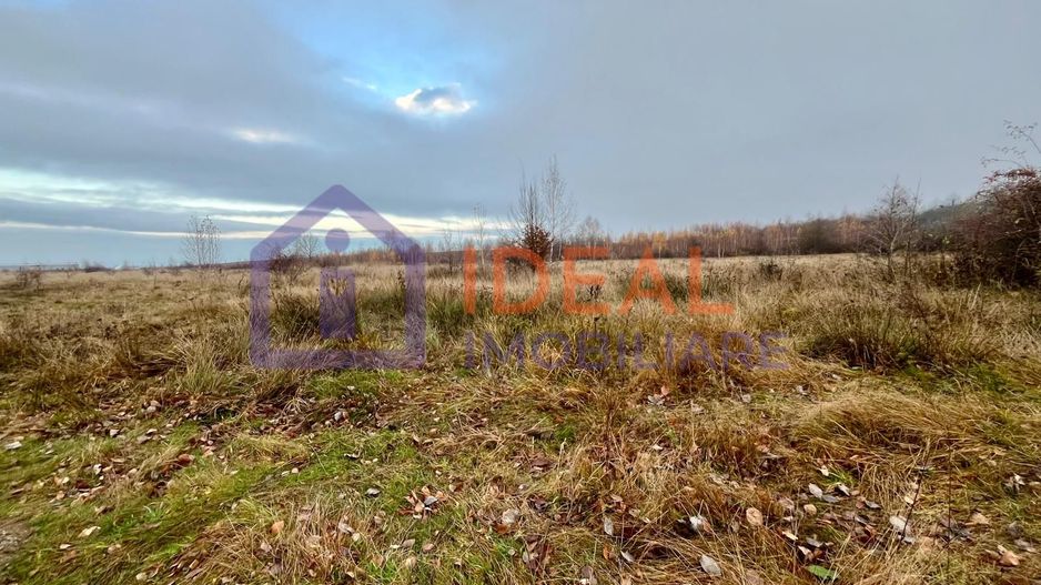 Teren extravilan 6.500 mp – două căi de acces, Cârțișoara - Poză 5