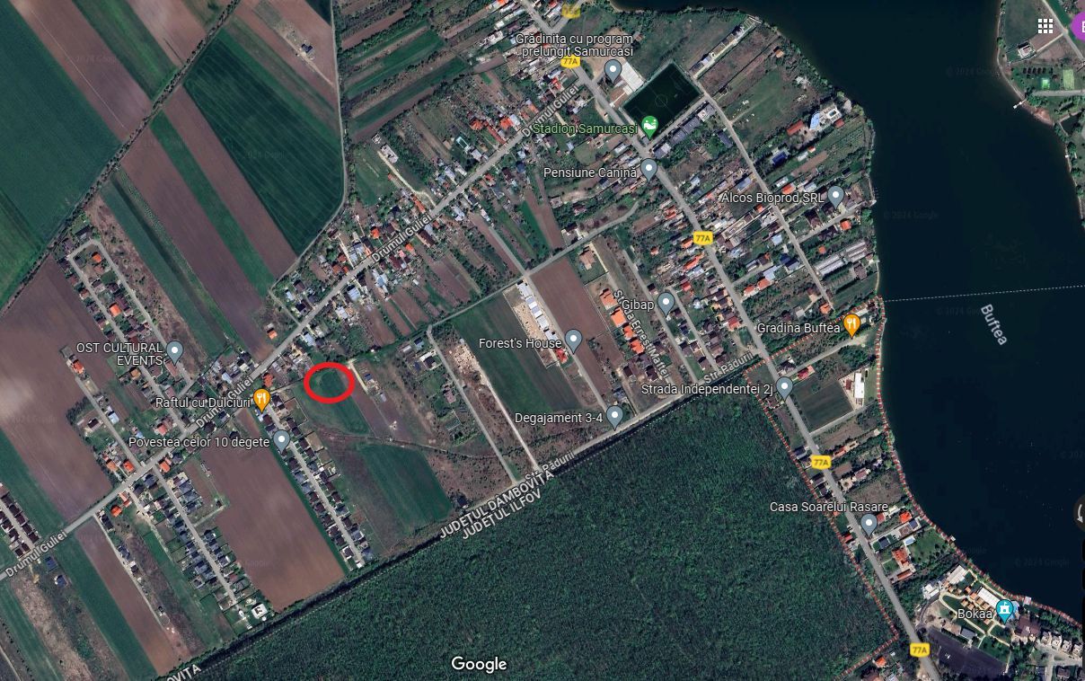 Teren de vânzare, Samurcași-Crevedia, în apropiere de pădure. - Poză 1