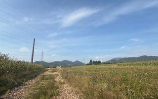 Teren de vânzare – exclusivitate, Baia Mare, strada Sebeșului - Poză 2