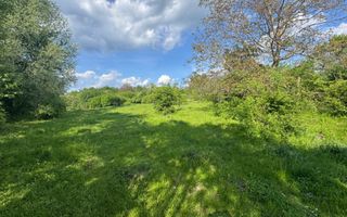 TEREN INTRAVILAN 2943 MP CAMPULUNG - Poză 6