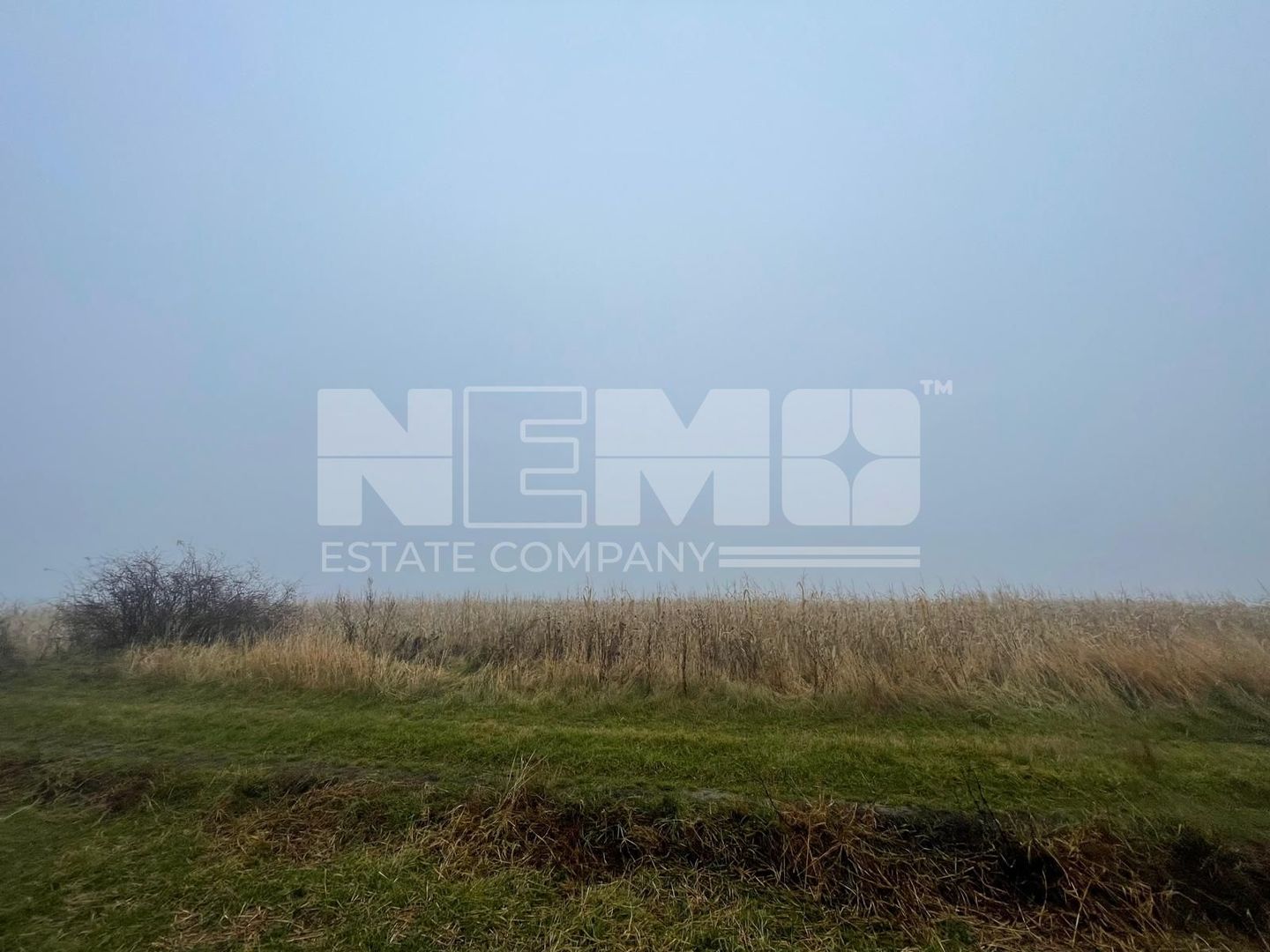 TEREN EXTRAVILAN | DOUA PARCELE 2.84 HA| IDEAL AGRICOL | DARMANESTI - Poză 10