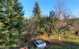 Casa 4 camere, teren 1960m2, CT, Provita, Prahova - Poză 24