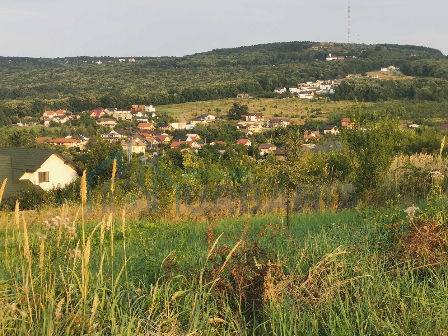 Teren Iasi barnova  visani, - Poză 2