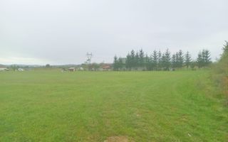 Teren intravilan 7.631 mp – Săcălășeni, lângă Baia Mare , utilități la drum - Poză 2