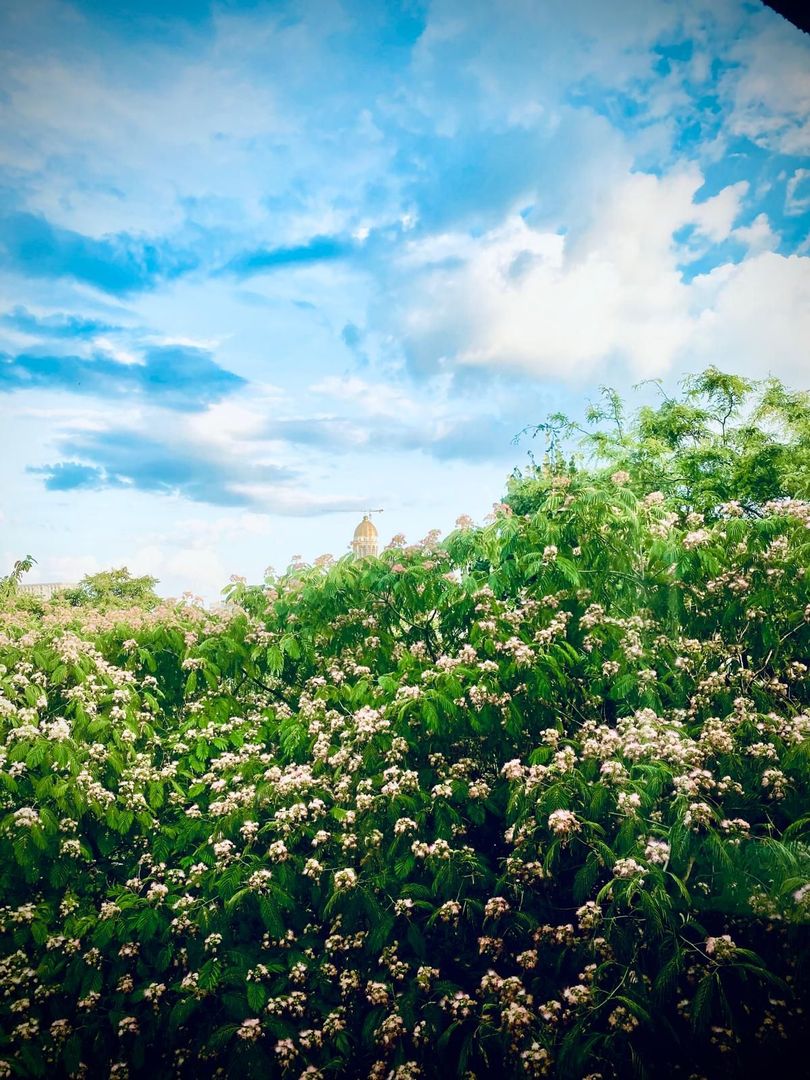 Apartament 3 camere + 1 birou,  Cotroceni, curte si gradina, metrou Eroilor - Poză 23