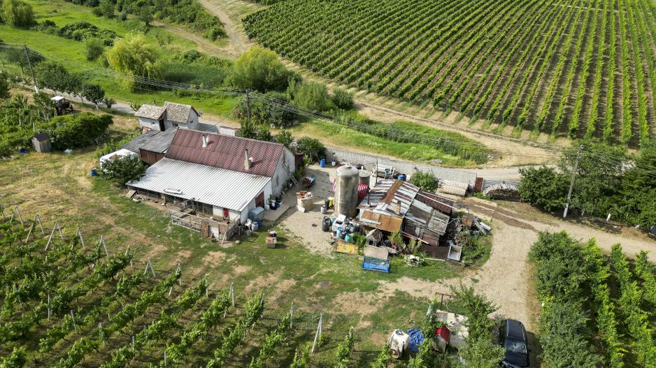 Vie Tradițională „Halta Lupilor” - Poză 43