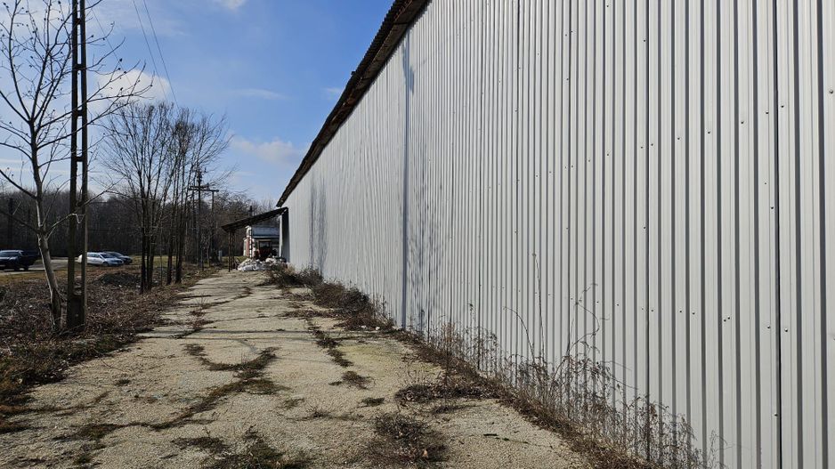 Vanzare amplasament industrial-servicii Tatarasti, Teleorman - Poză 17