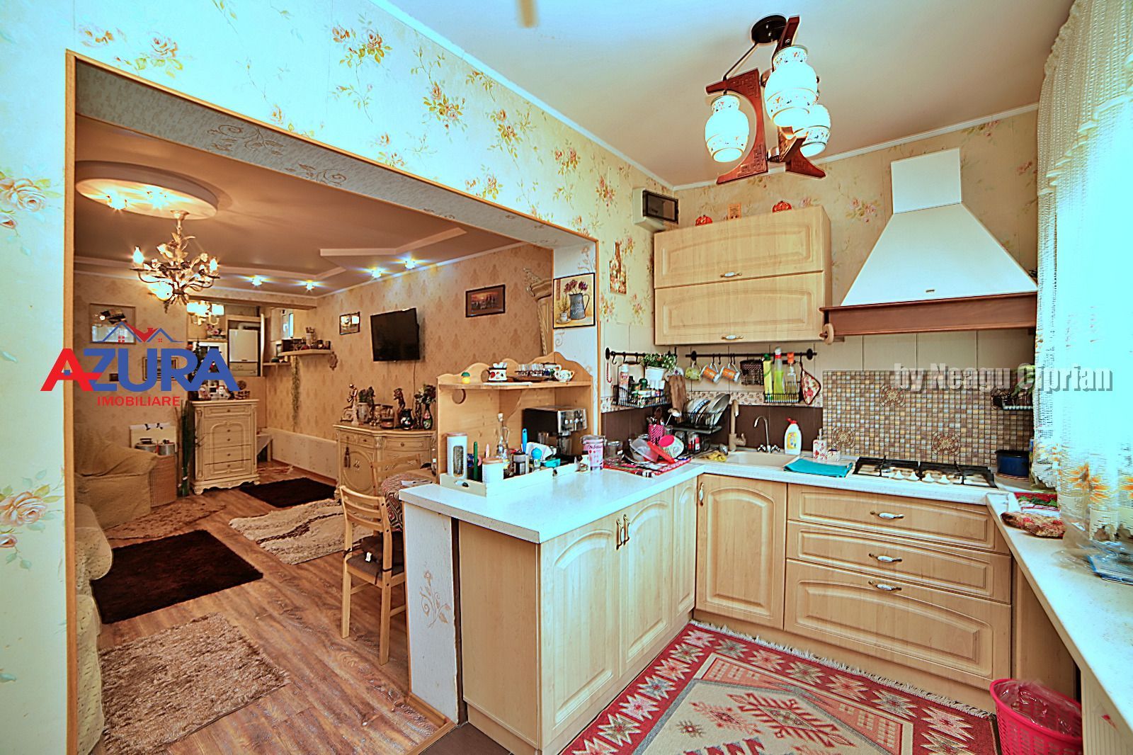 Vanzare Casa Gavana - deasupra Parcului Lumina - Poză 9