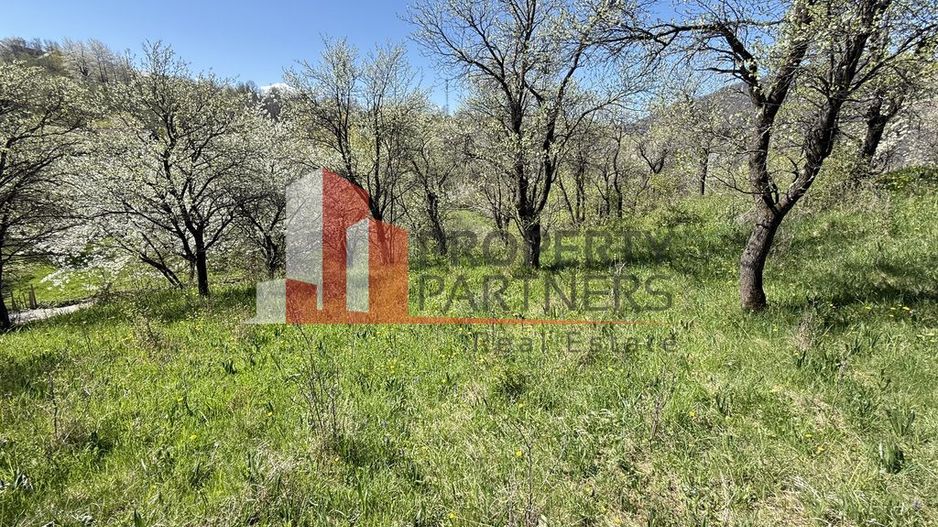 Teren 2500 mp Sohodol - Poză 12