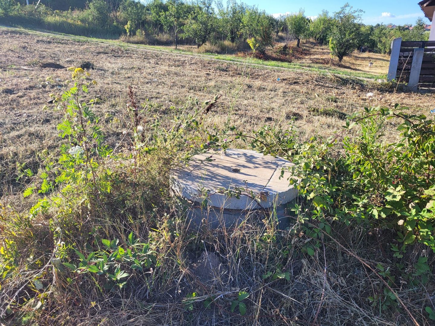 Teren construibil cu utilitati Saldabagiu de Munte 900m - Poză 4