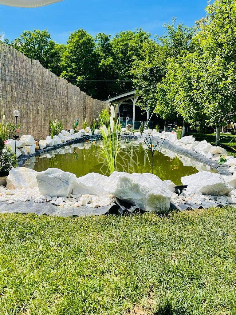 Casa 220 mp-teren 1800 mp-piscina-lac de pesti-foisor-Unirea - Poză 4