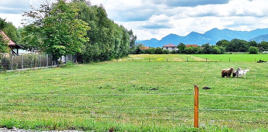 Brasov, cartier Stupini, teren intravilan 8500mp pe str Izvorului, 30 euro/mp - Poză 9