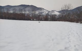 Teren intravilan 2.295 mp, deschidere 60 m – Rășinari, comision 0% - Poză 6