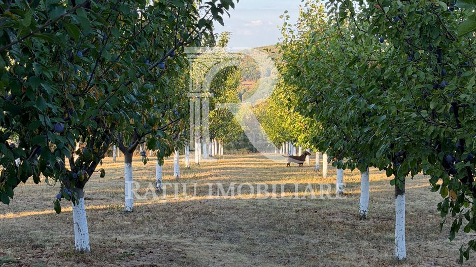 Proprietate premium | Casă și complex turistic la cheie | Cordău - Poză 46