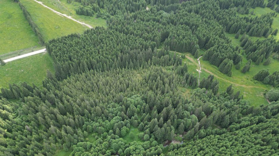 Teren extravilan 5000 MP Comandau - Poză 6