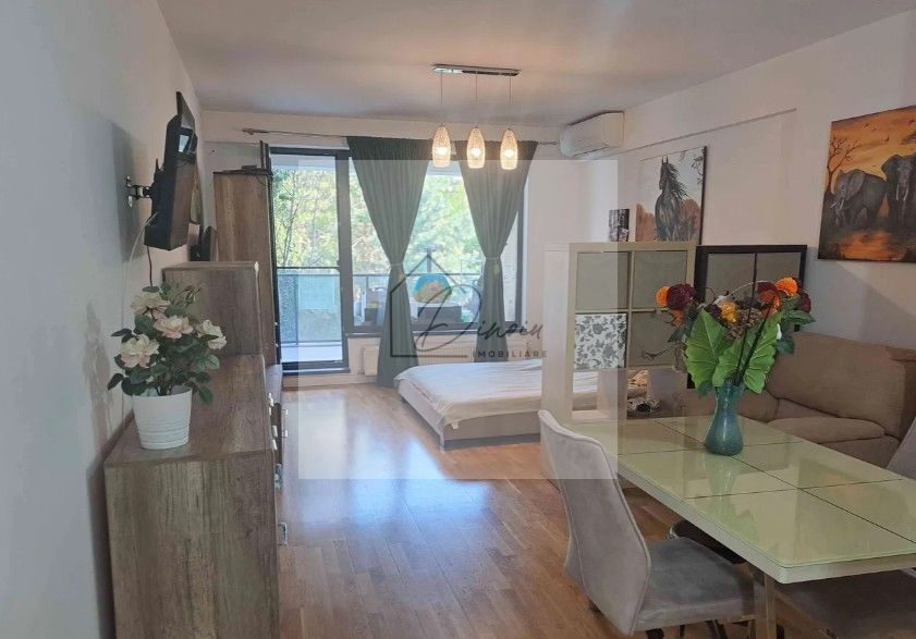 Studio Premium Erou Iancu Nicolae Pipera - Poză 1