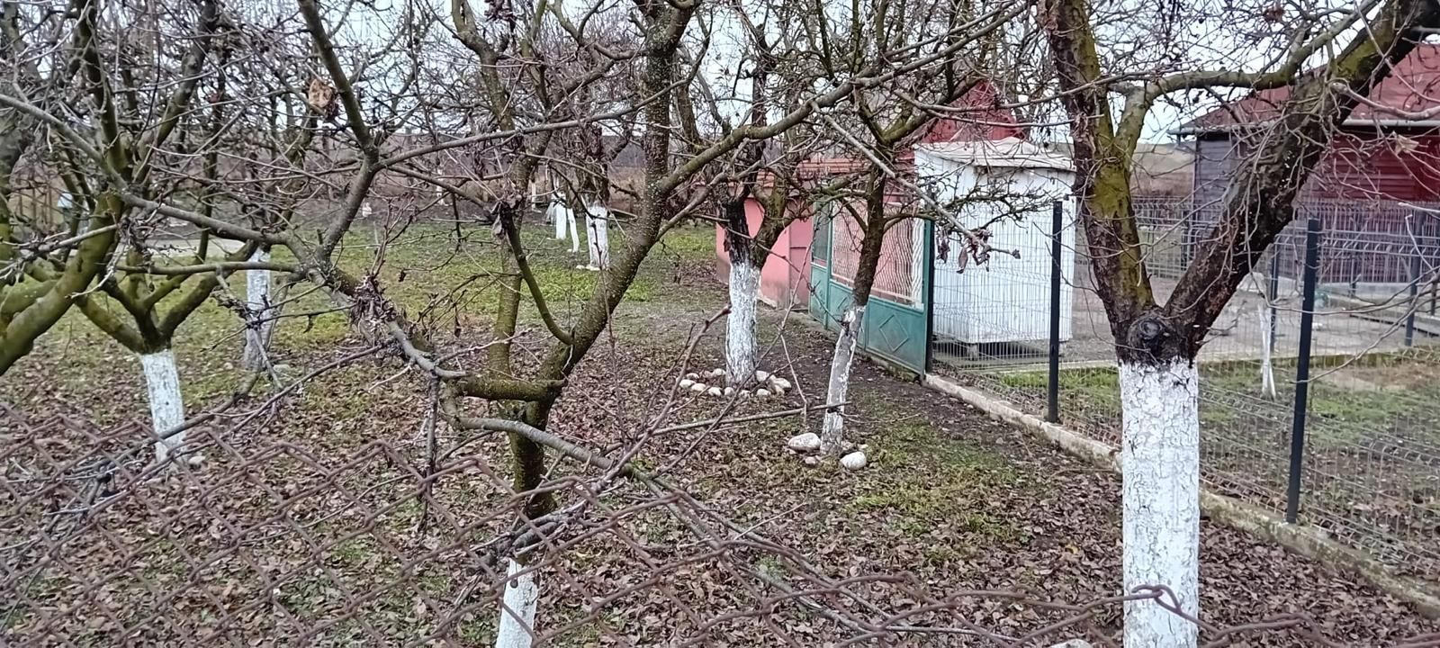 OFERTĂ in Băcia, Hunedoara ! Proprietate 2 case + Cabană + Livadă - Poză 27