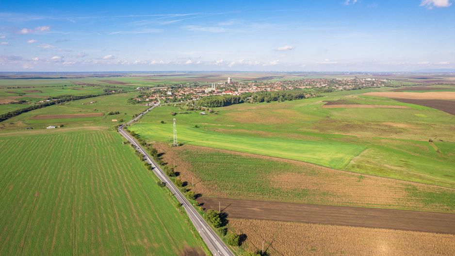 Teren de 104000 mp în Vinga - Poză 8