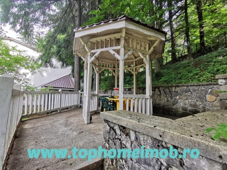 Vila deosebita Sinaia- Cumpatul - Poză 5