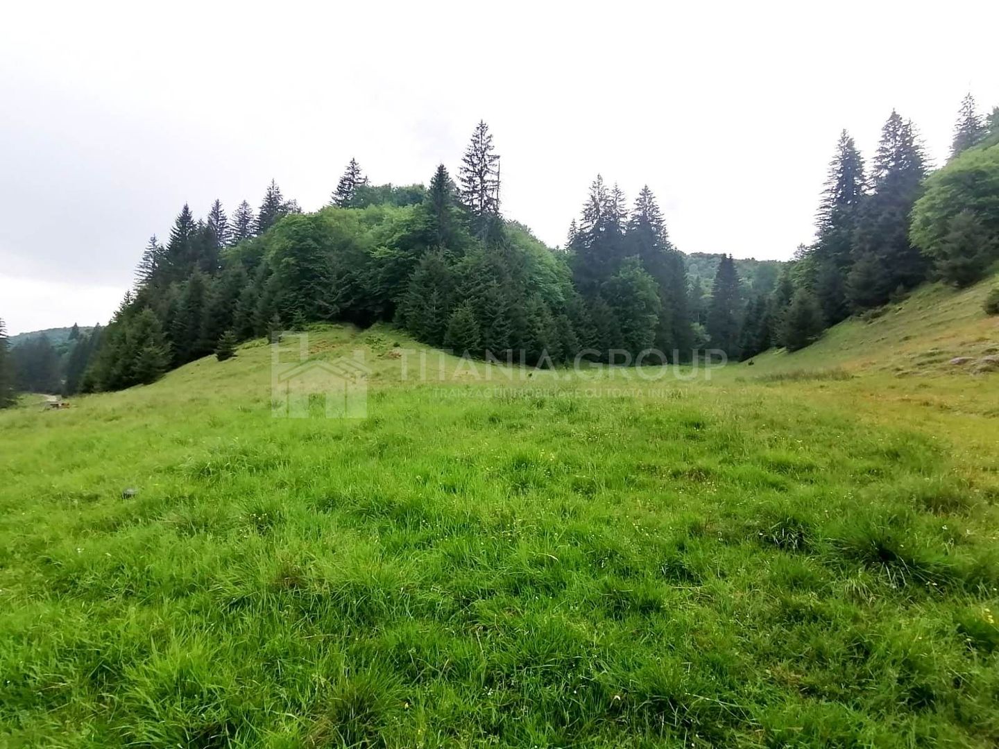 Teren intravilan langa Poiana Brașov, 52 mp front strdal, Utilitati in zona - Poză 11